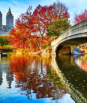 central park during fall