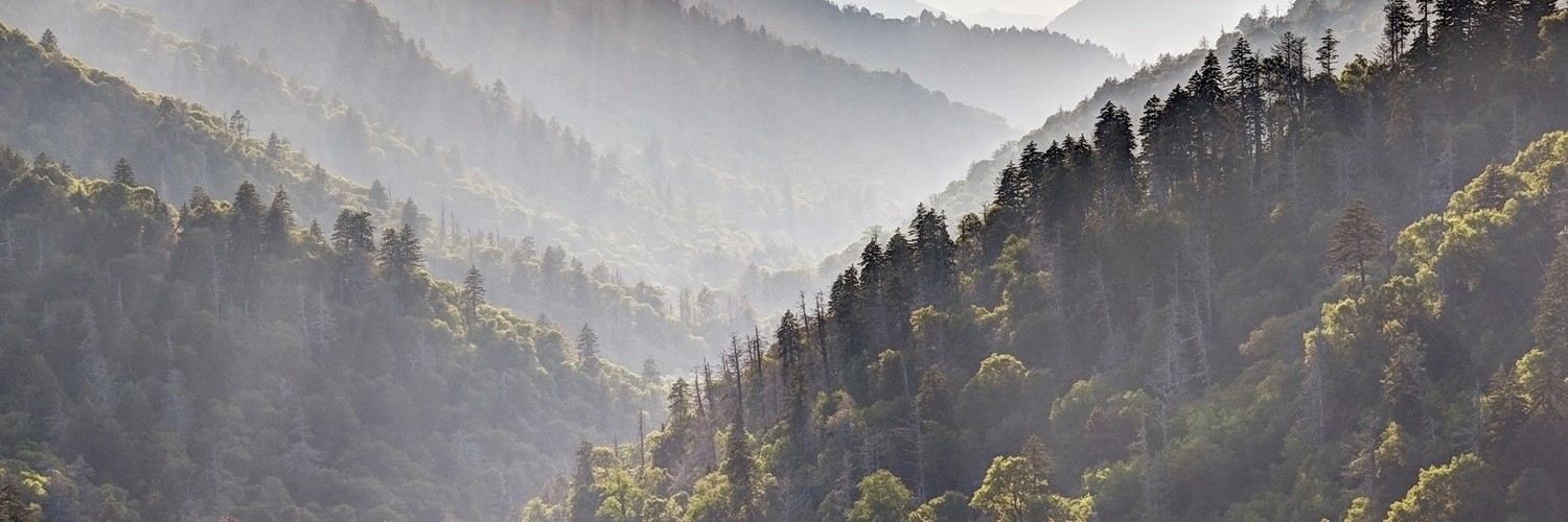 Smokey Mountains with sunlight shining through tree filled mountains