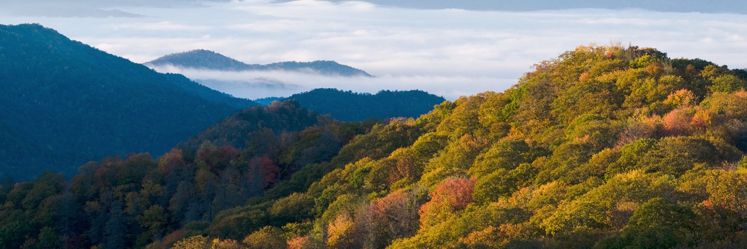 Smoky mountains outlook