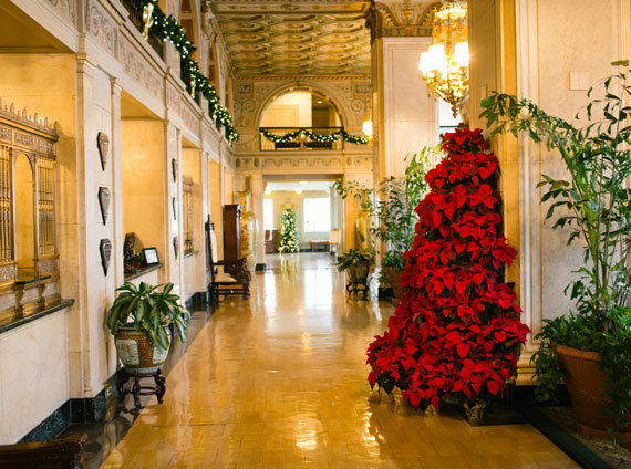 Holiday Cheer Package