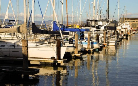 A marina with docked sailboats and calm water