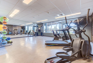 Gym with treadmill, elliptical, weight machines and various exercise equipment