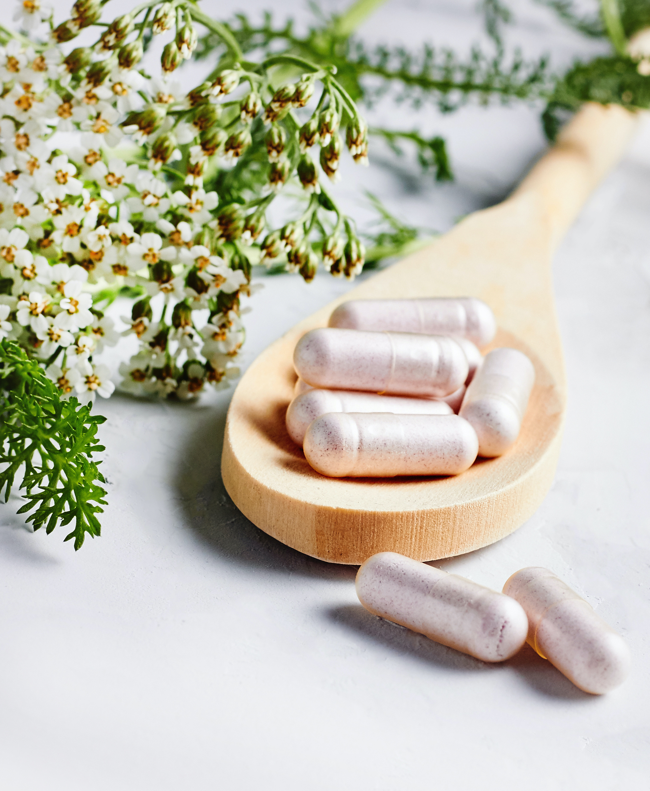 adobestock_288894725 copy
