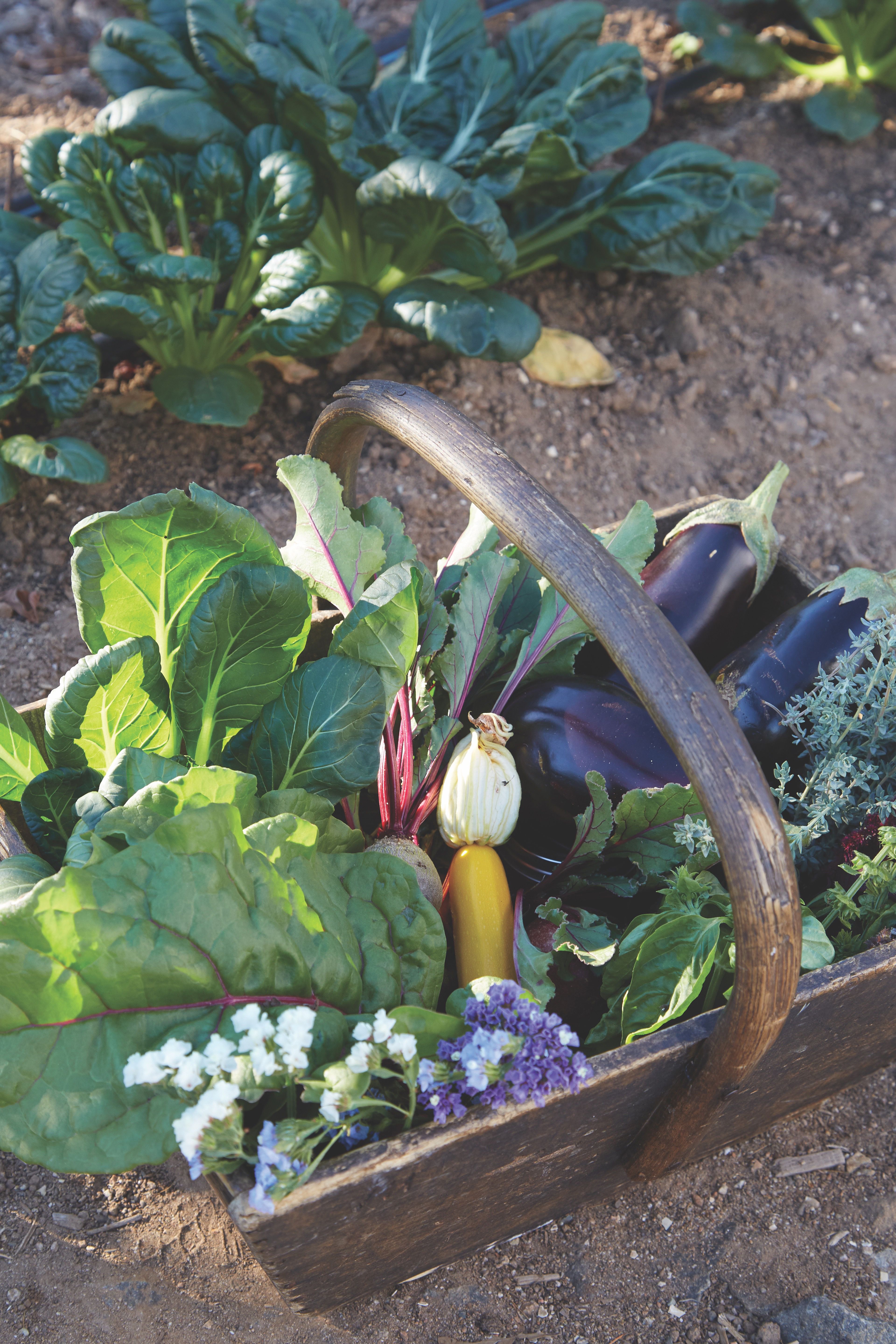 garden vegetables in a wooden crate with handle