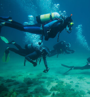 Cape Eleuthera Top Reasons