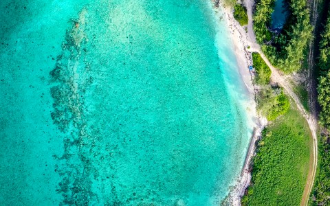 Top view of a beautiful seashore surrounded by turquoise water and green trees