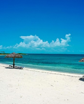 View of a seashore on a sunny day