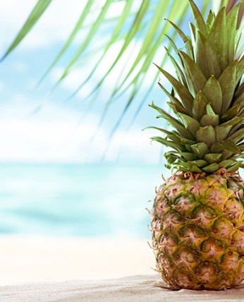 View of two big pineapples at the beach