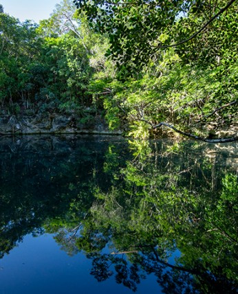 View of a beautiful swimming hole with clear water and surrounded by trees