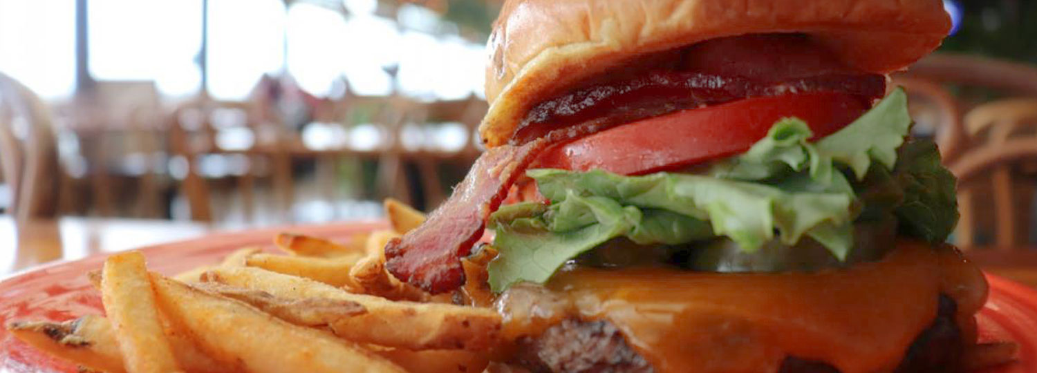 juciy hamburger with fries