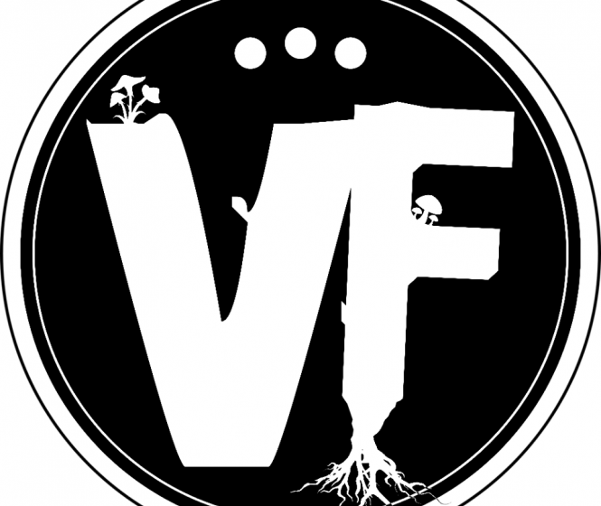 Vibes Farm