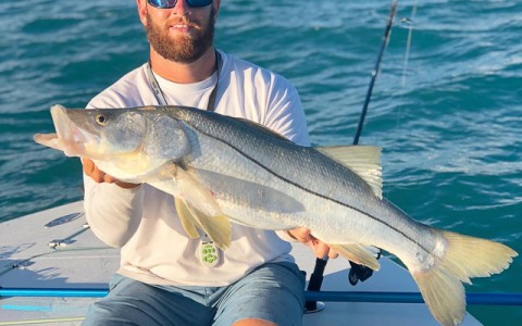 fishing sebastian 1580 highway fl