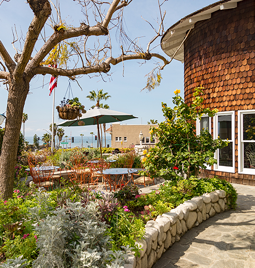 a patio terrace and garden area at the lodge