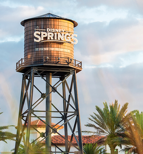 Disney water tower at the park