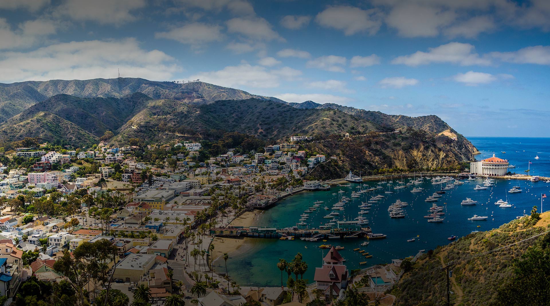 Aerial shot of the Catalina Island at day 