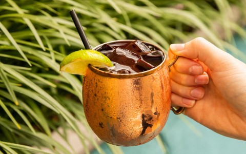 Moscow mule with green plants in the back 