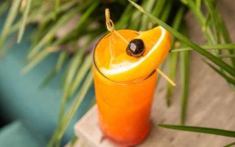 orange cocktail with a fresh orange