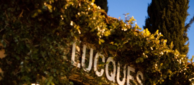 Lucques restaurant exterior with vines