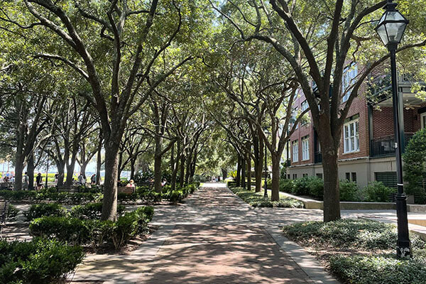 whitepoint garden