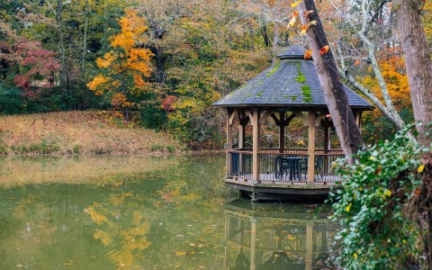 gazebo on the water with trees around it
