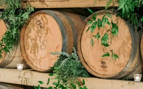 wine barrels with green plants surrounding