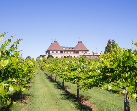 chateau elan winery homepage a nod to georgias official grape quad