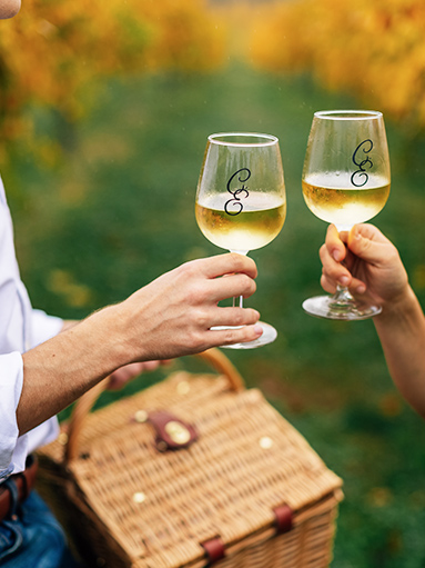 couple toasting with white wine at a picnic