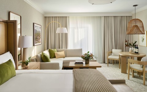 chateau elan spa king suite 2