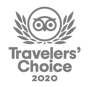 traveler's choice logo 2020