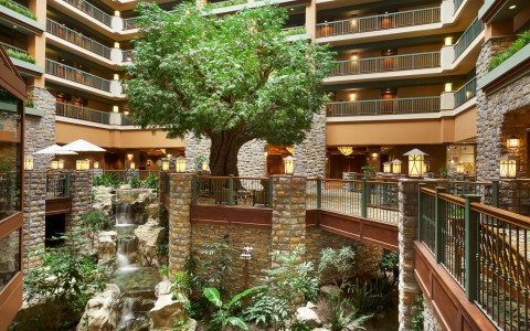Lobby with large tree and warm brick feel