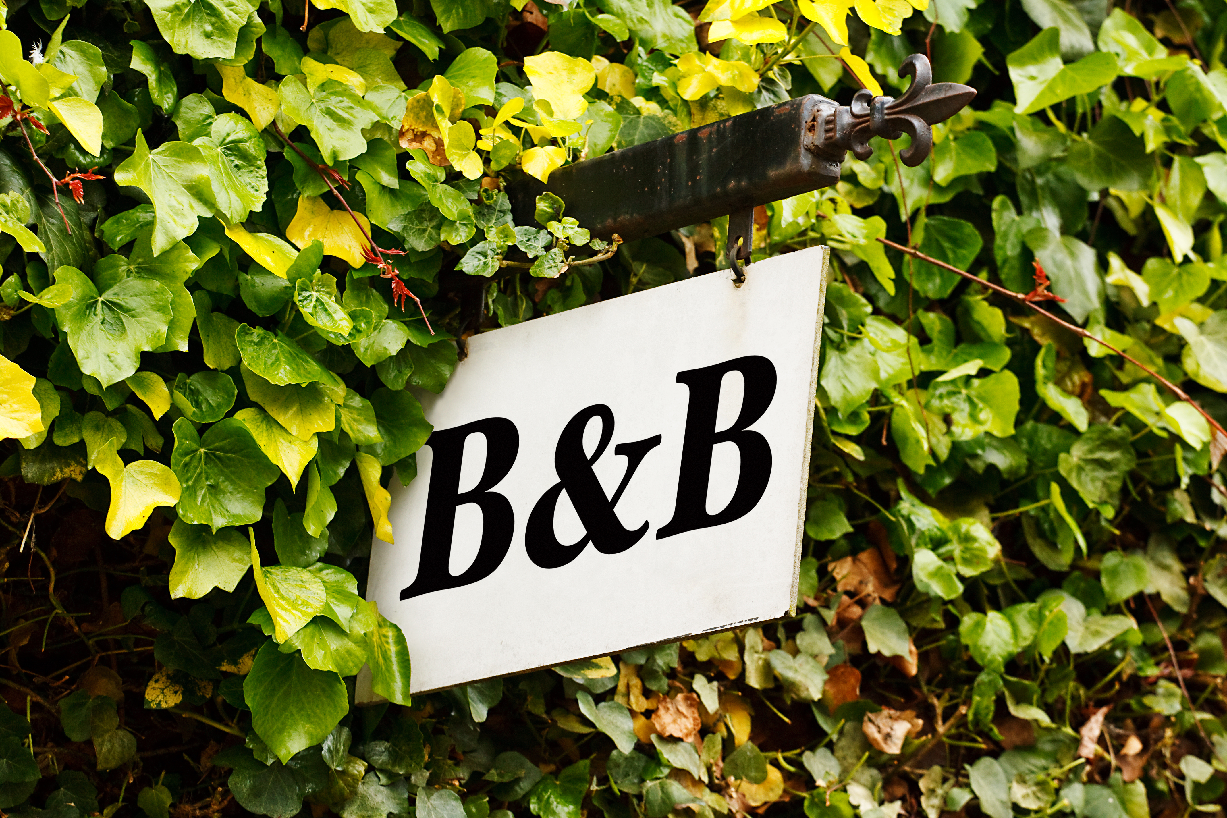 A bed and breakfast sign amongst autumn leaves