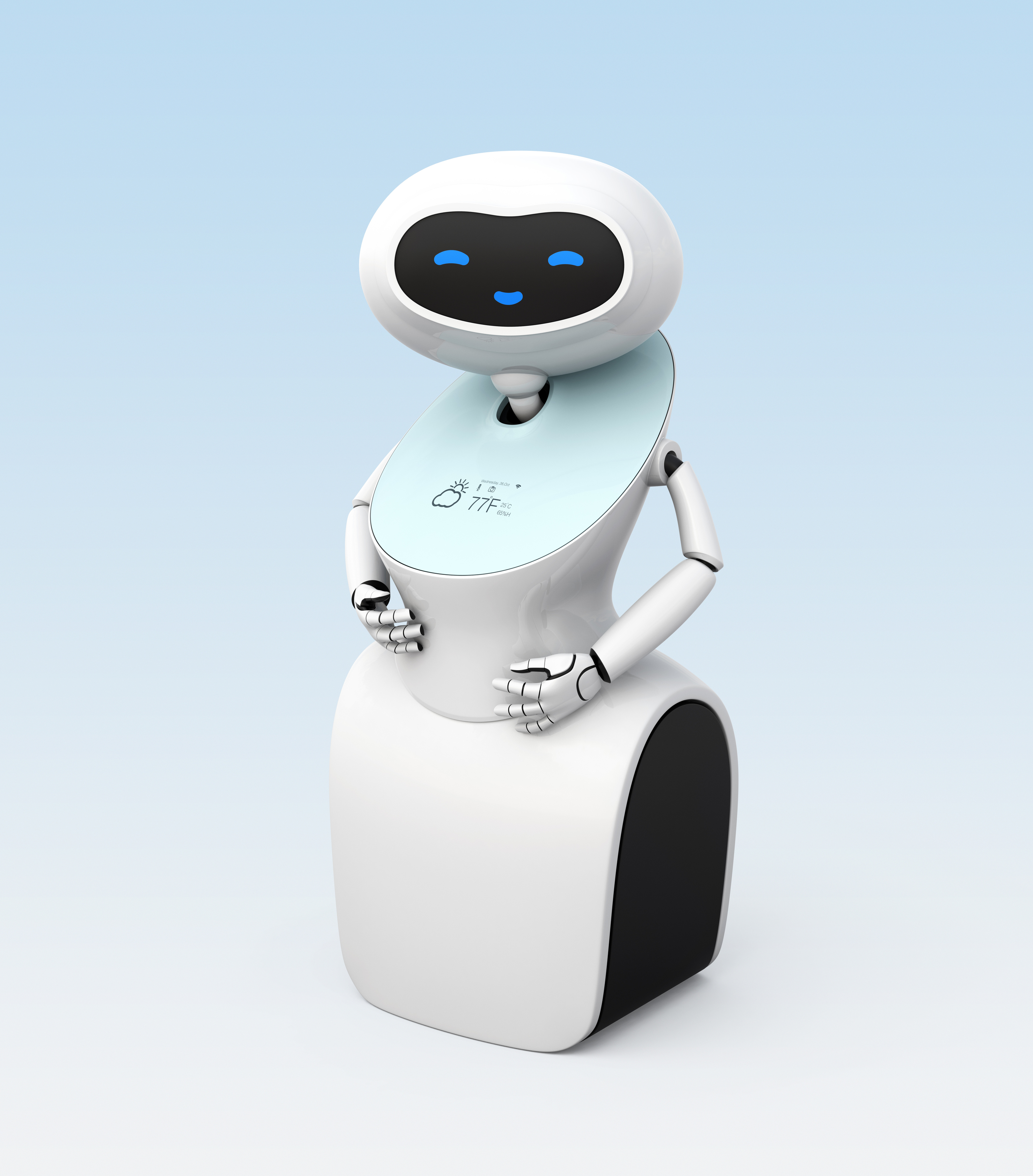 Humanoid robot with touch screen
