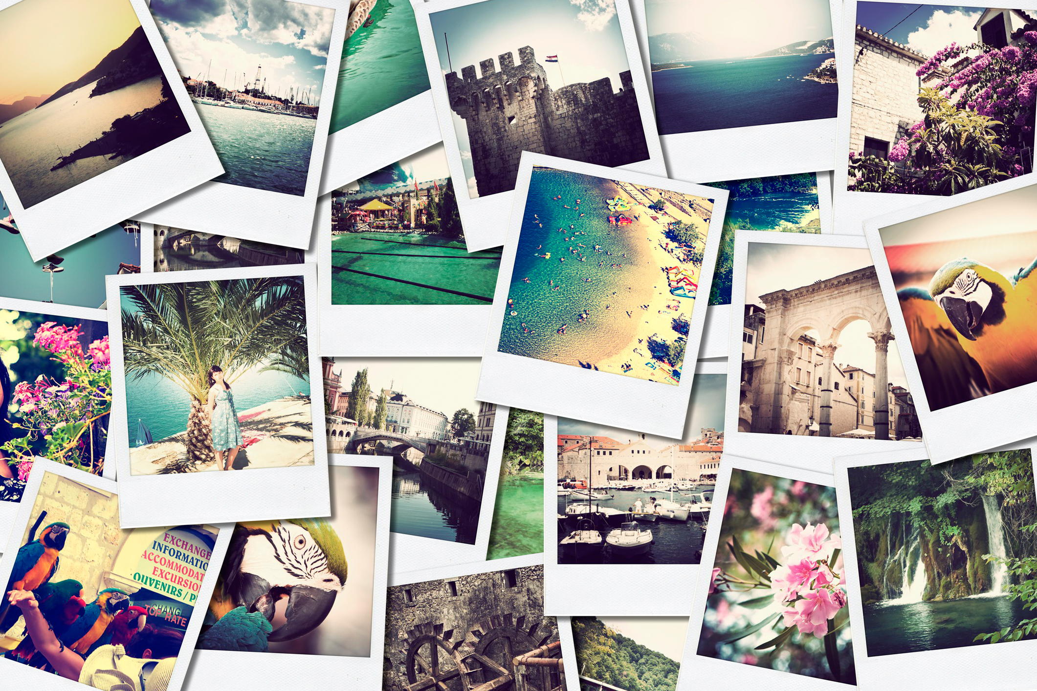 collage of photos