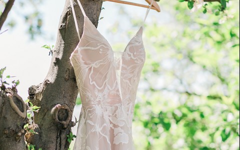 A wedding dress on a tree