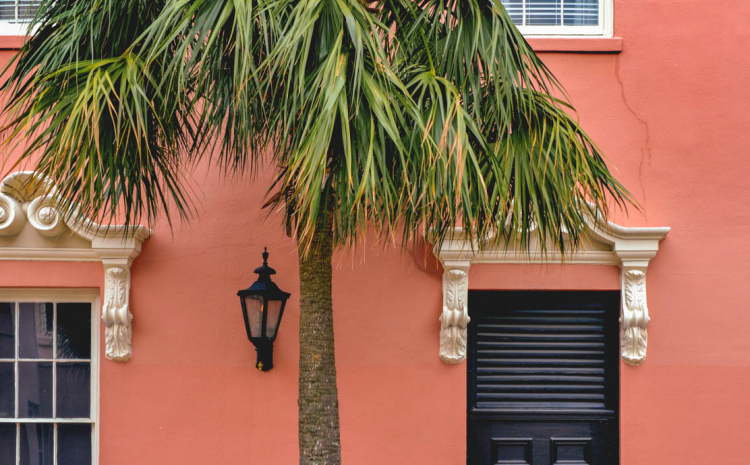 Palm tree in front of coral colored building