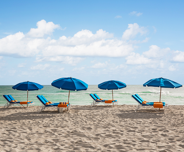 circa 39 row of lounge chairs along the beach