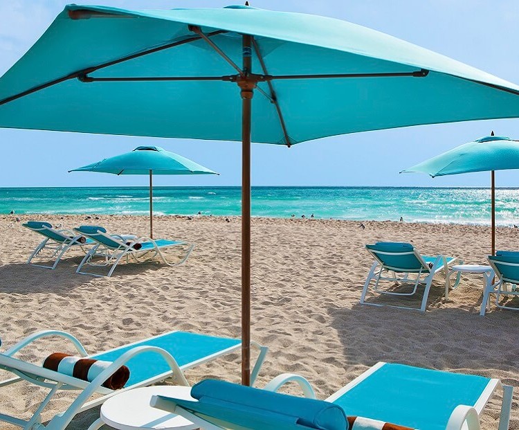 the palms beach loungers