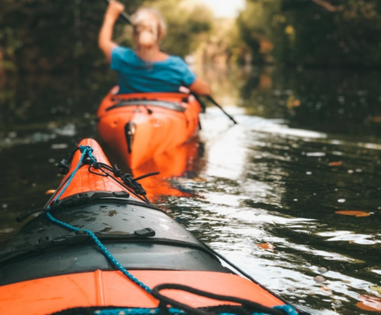 kayak tours_things to do miami