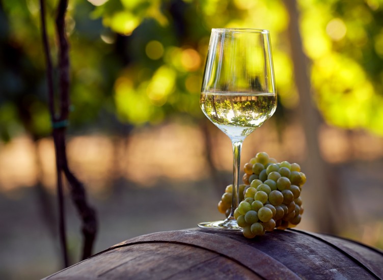 Winter at the Wineries