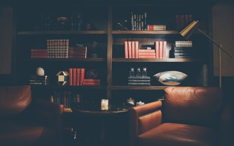 book shelf with cozy leather chairs 