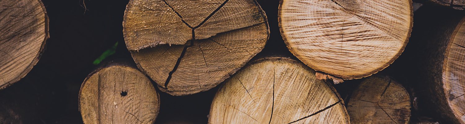stumps of wood