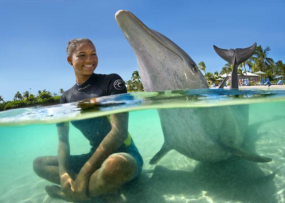 Dolphin and trainer in shallow water