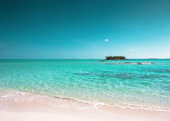 Vast beach with palm trees on small island in the distance