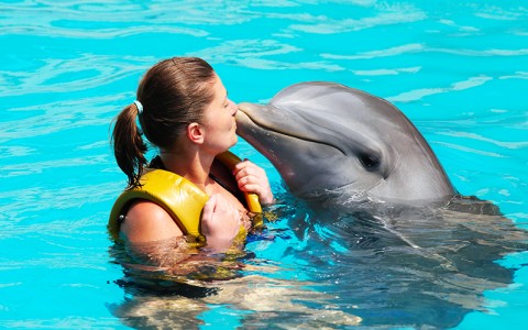 woman kissing a dolphin 