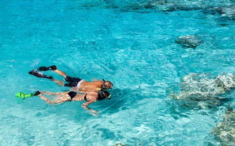 man and woman snorkeling in clear shallow waters