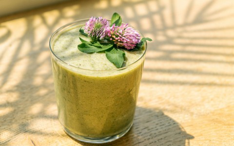 healthy green juice with a plant on the top 
