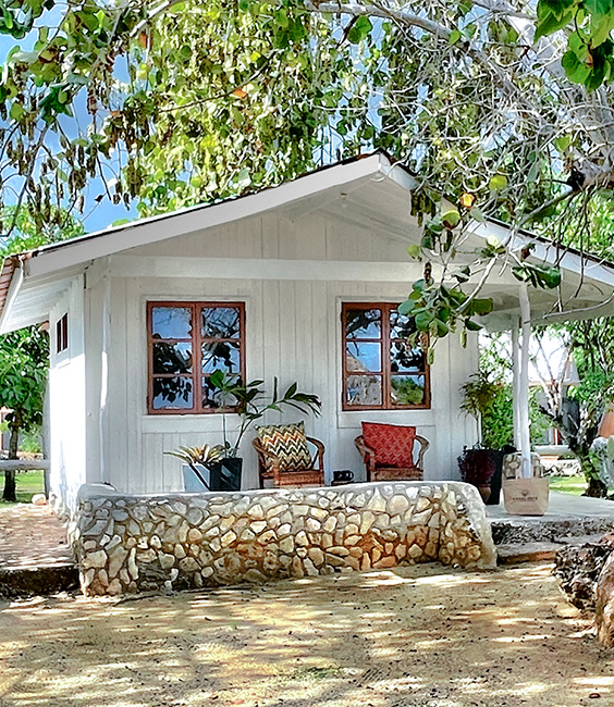 exterior view of a cottage with chairs and trees around it 