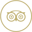 logo ta1