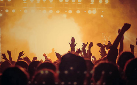 Silhouette of a crowd at a concert