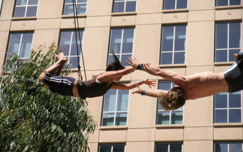 flying acrobats